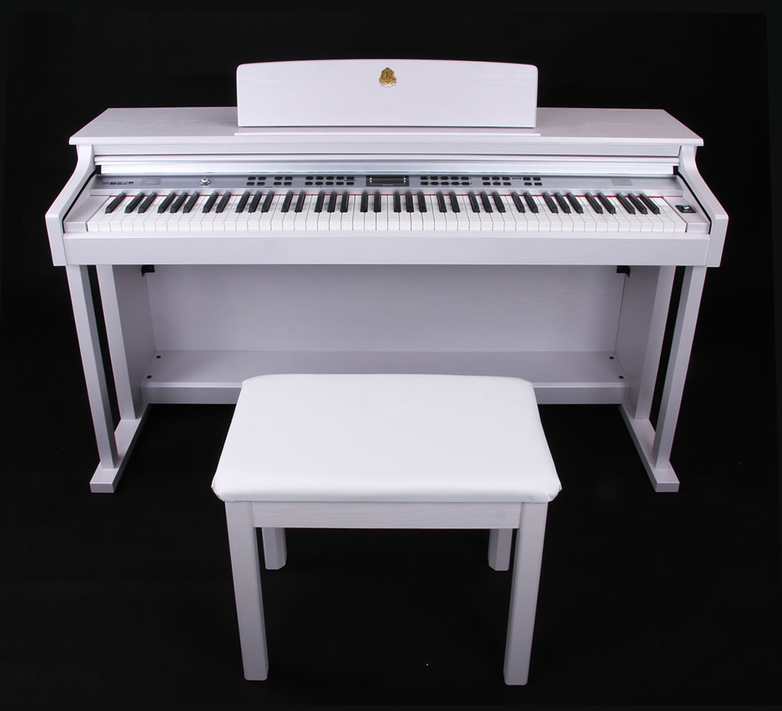 Taishan Electric Piano